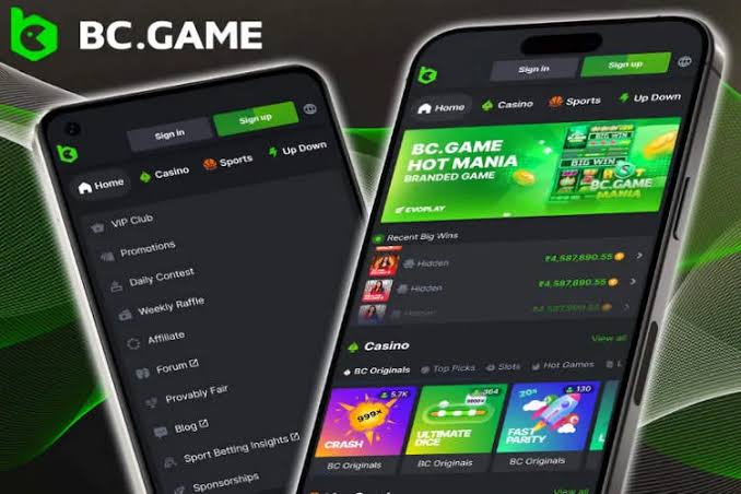 Download the BC Fun App Your Ultimate Gaming Experience