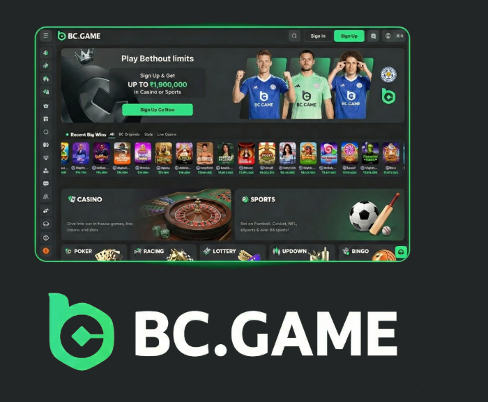 Comprehensive Guide to BC.Game JB Coin
